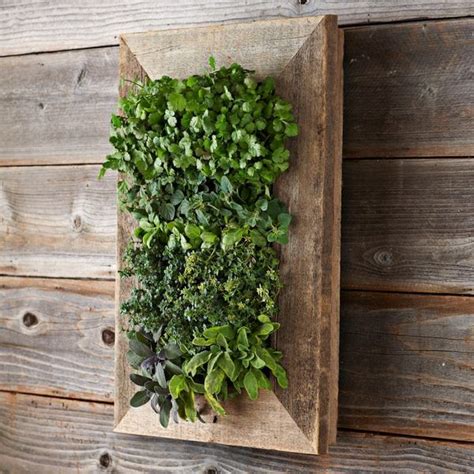 Creative living wall planter ideas – design your own vertical garden