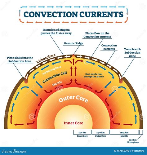 Convection Currents Model