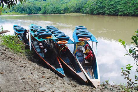 Ecuador: Epic Amazon Rainforest Adventure | PurPurPurPur