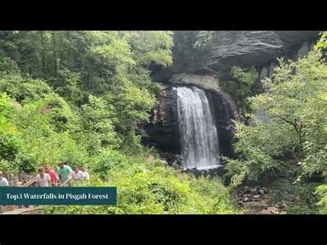 21 Pisgah National Forest Waterfalls For Adventure (2024)