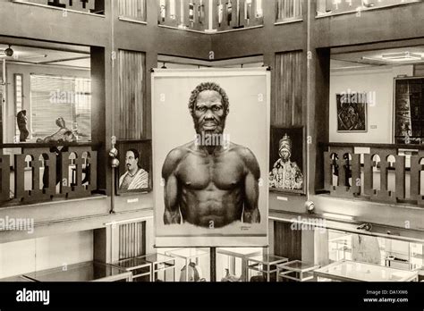 Homo sapiens Idaltu, Ethiopian National Museum, Addis Ababa, Ethiopia Stock Photo - Alamy