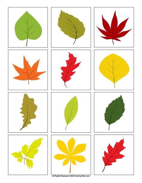 Leaf Color Matching (printable) - The Activity Mom | Leaf crafts, Leaf printables, Printable leaves