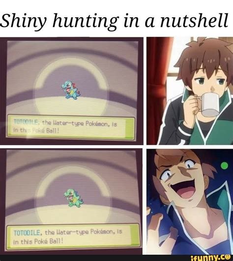 Shiny hunting in a nutshell - ) | Pokemon funny, Pokemon memes, Pokemon ...