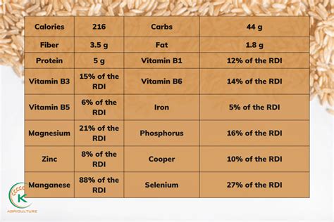 7 Interesting Differences Between Brown Rice and White Rice