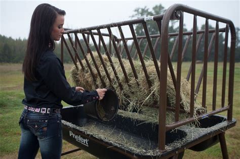 Pasture Horse Feeder | Horse feeder, Diy horse barn, Horse barns