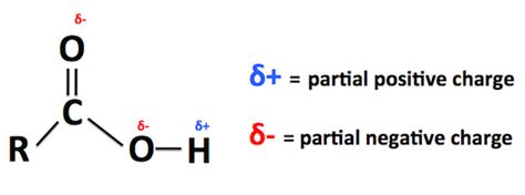 Carboxylic Acid | Structure, Formula & Formation - Lesson | Study.com