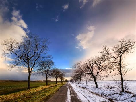 Autumn and Winter Photo Print Wall Art Snowy Road and Trees | Etsy in 2021 | Fall photography ...