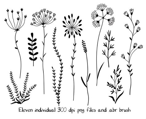 Wildflowers Clipart and Stamps. Digital Clipart. Clip Art | Etsy Doodle Drawings, Doodle Art ...
