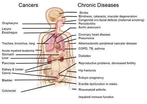 Effects of Smoking