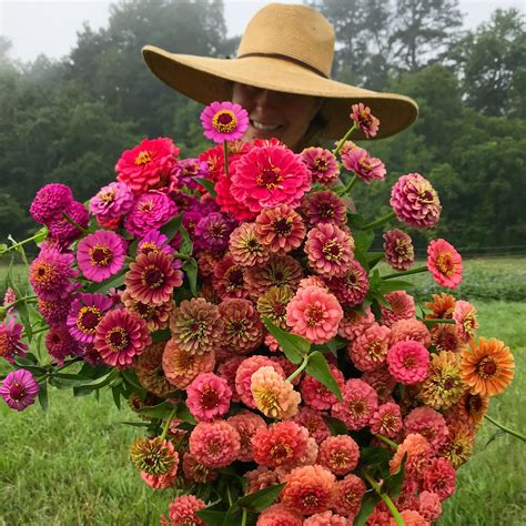 My Favorite Zinnia Varieties + A Farm Update — Flourish Flower Farm