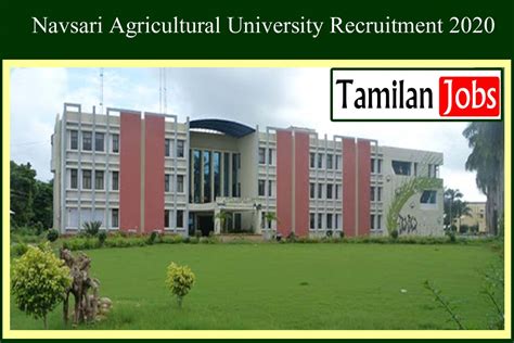 Navsari Agricultural University Recruitment 2020 Out - Subject Matter ...