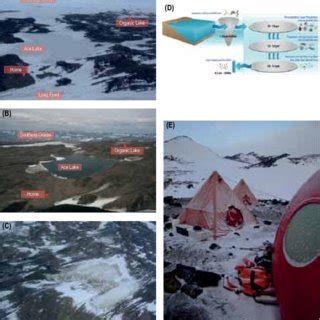 Antarctic metagenomics. (A) Aerial view showing Ace Lake (foreground ...