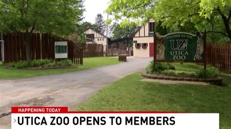 Utica Zoo Reopens to Members, All Others Thursday | WRGB