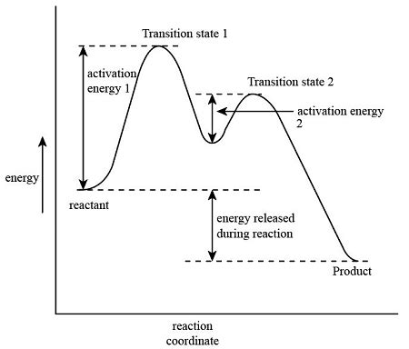 Enzyme Graph Transition State