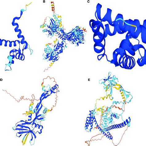 AlphaFold2 prediction of the protein structure of celastrol therapeutic ...