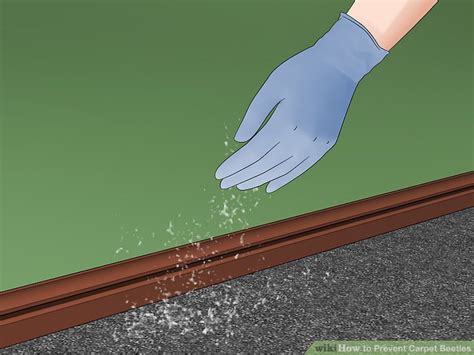 3 Ways to Prevent Carpet Beetles - wikiHow