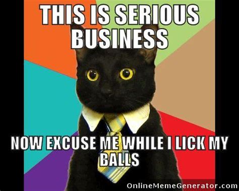 Pics Photos - Serious Business Cat Meme