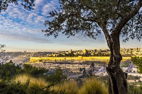 View Of Jerusalem From The Mount Of Olives