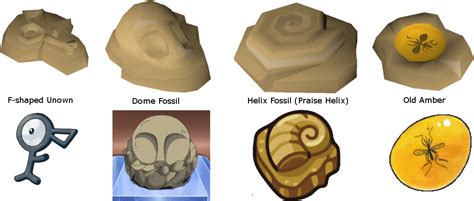 Top 72+ imagen helix and dome fossil - Abzlocal.mx