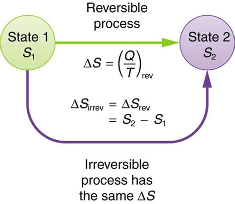 An Infinite Disorder: The Physics of Entropy