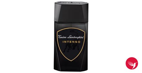 Intenso Tonino Lamborghini cologne - a fragrance for men 2010