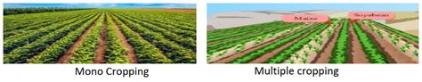 Cropping System and Cropping Pattern - UPSC IAS - UPSC Notes » LotusArise