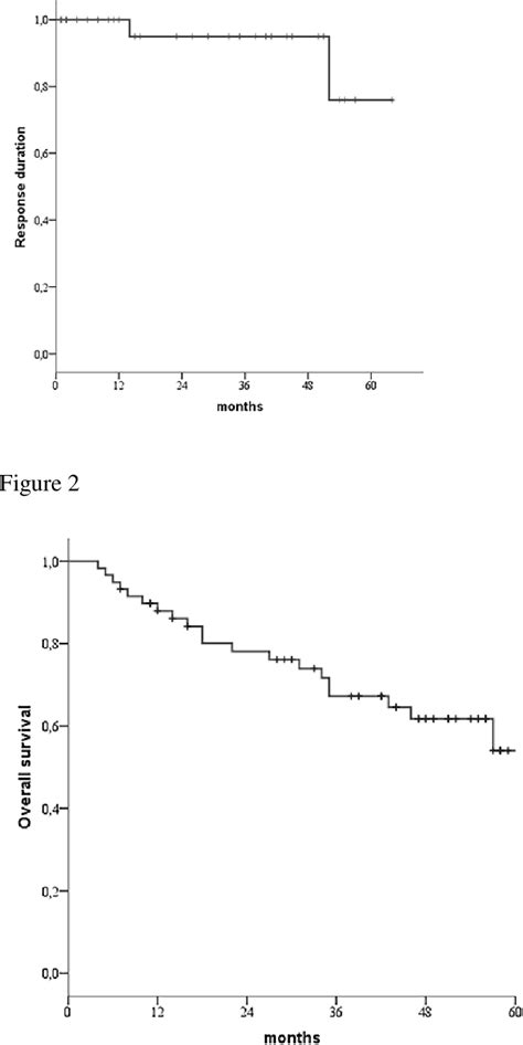 Figure 2 from The use of erythropoiesis stimulating agents (ESAs) is safe and effective in the ...