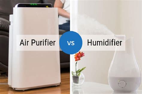 Humidifier vs Air Purifier: Which is Better? | Airdog USA