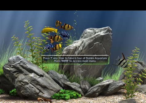 Dream Aquarium Screensaver - Download