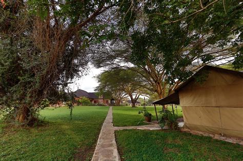 Safari Offer at Mara Keekorok Lodge – Triptivo Safaris