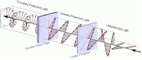 Circular polarization (from... | Download Scientific Diagram