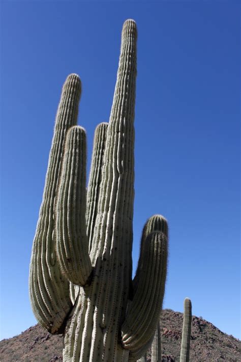 Pinnacle Peak Trail - Scottsdale, Arizona - Trek Southwest