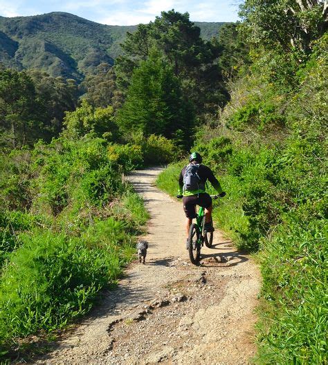 16 Best Pacifica Trails and Parks images | Park, Trail, Bay area