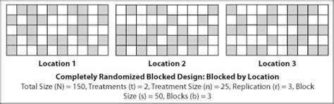 Introduction to Randomization and Layout | PBGworks