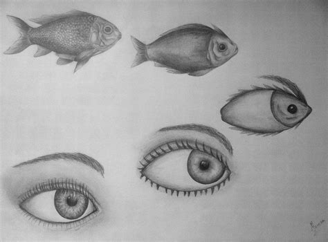 Metamorphosis by oOFilipaOo on DeviantArt | Metamorphosis art, Drawings, Elementary art