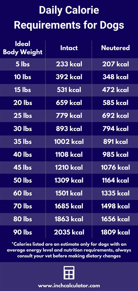 Dog Calorie Calculator - How Much Should You Feed Your Dog