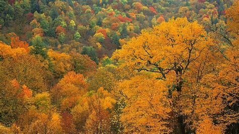 Appalachian Mountains 1080P, 2K, 4K, 5K HD wallpapers free download | Wallpaper Flare