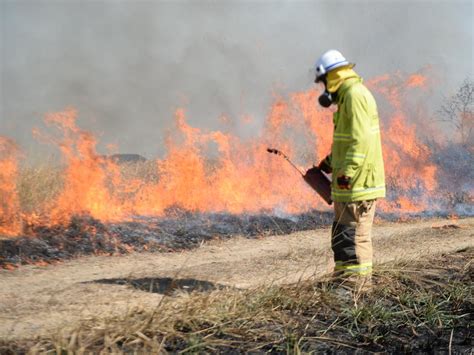 NSW, Qld bushfires: why hazard reduction work wasn’t carried out | The ...