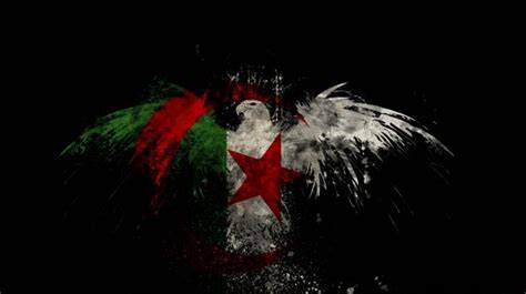 algerian flag algeria done wallpaper HD Wallpaper | Algerian flag, Flag, Algeria