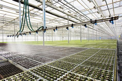 Greenhouse Irrigation and Fertigation Offer Boosts to Efficiency and Profitability | GrowSpan