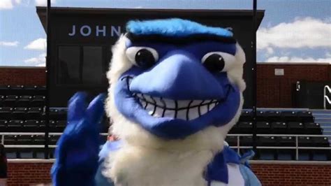 Johns Hopkins University Mascot