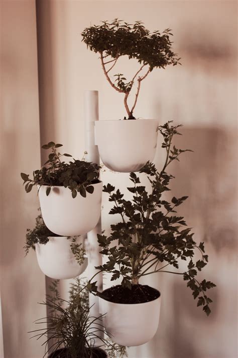 Indoor Herb Garden For The Modern Home Featuring Design Within Reach — Go French Yourself