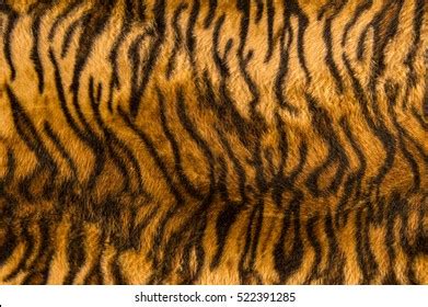 Beautiful Tiger Fur Pattern Texture Background Stock Photo 359419898 | Shutterstock