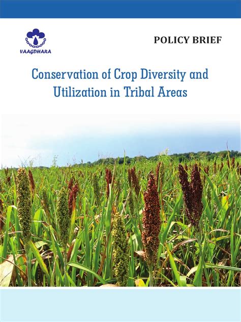 Conservation & Utilisation of Traditional Crop Diversity in Tribal Areas | PDF | Agriculture ...