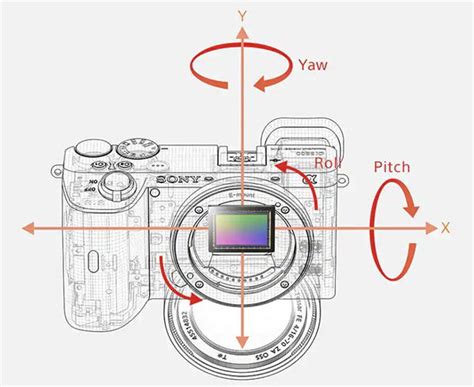 Sony A6100 vs A6400 vs A6600 - AlphaShooters.com