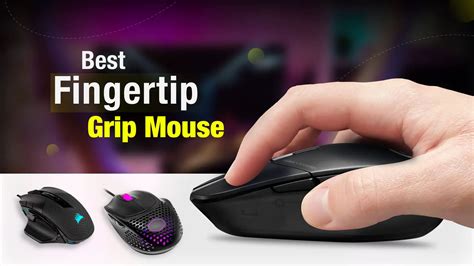 11 Best Fingertip Grip Mouse of 2023 - Techtouchy