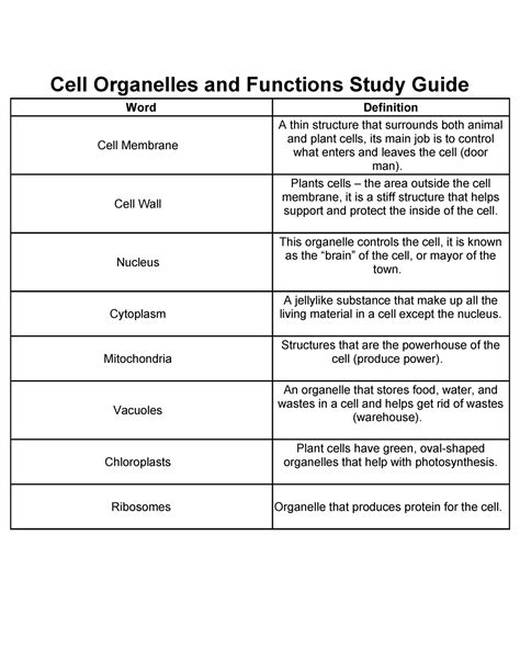 Plant Cell Jobs / Plant Cell Structures And Functions Let S Talk Science : Jun 10, 2021 ...