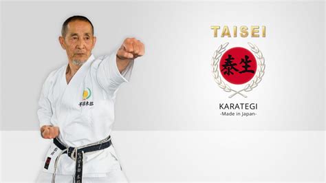 Buy Karate Suit / Karate Gi - MADE IN JAPAN - TAISEI-Karategi.com