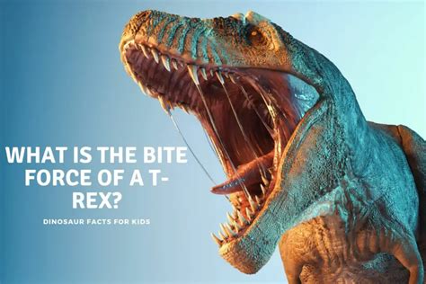 What Is The Bite Force Of A T-Rex? - Dinosaur Facts For Kids