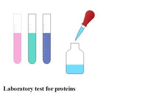 Laboratory test for protein: 7 easy protocol - Chemistry Notes